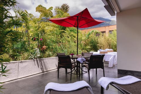 Garden, Balcony/Terrace