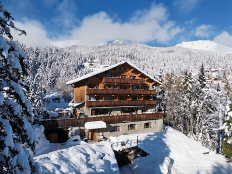 Property building, Day, Natural landscape, Winter, Mountain view