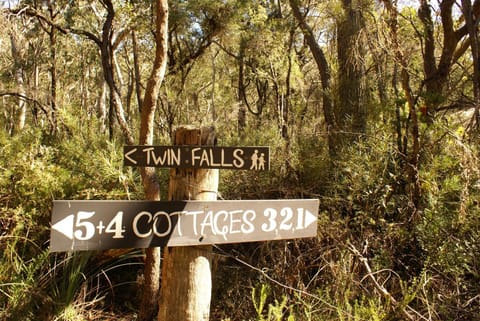 Twin Falls Bush Cottages Bed and Breakfast in Fitzroy Falls