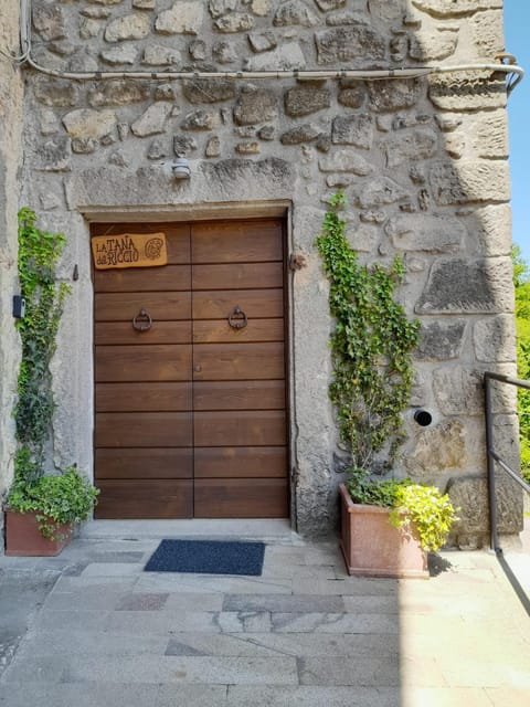 La Tana del Riccio Apartment in Abbadia San Salvatore