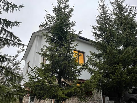 Kassandrov Guest House Ravnogor/ Касандрова къща Равногор House in Plovdiv Province