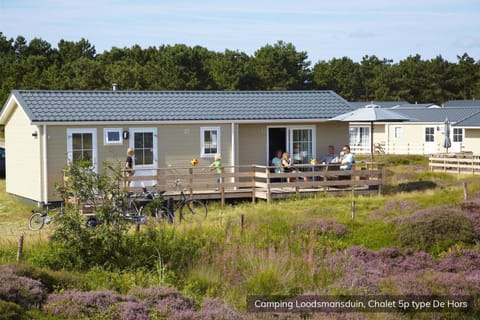 Property building, Garden view