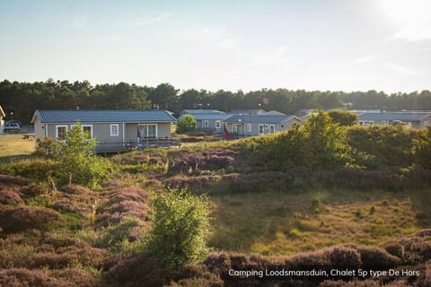 Property building, Natural landscape