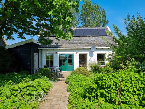 Property building, Garden, Garden view