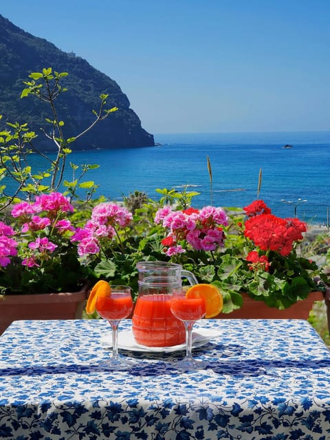 Balcony/Terrace, Sea view