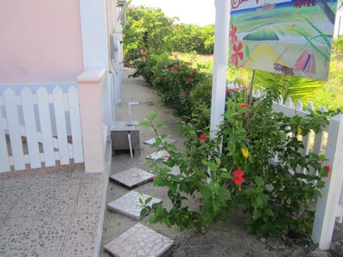 Sea View Suites Bed and Breakfast in Placencia