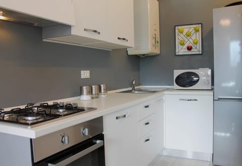 Kitchen or kitchenette, dishwasher, minibar, pet friendly, stove