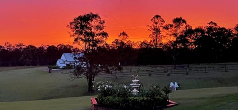 Garden view, Sunrise