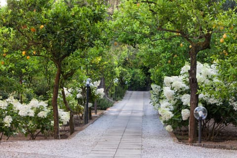 Facade/entrance, Garden