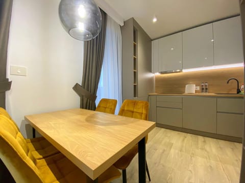 North Star Apartment 5 Condo in Timisoara
