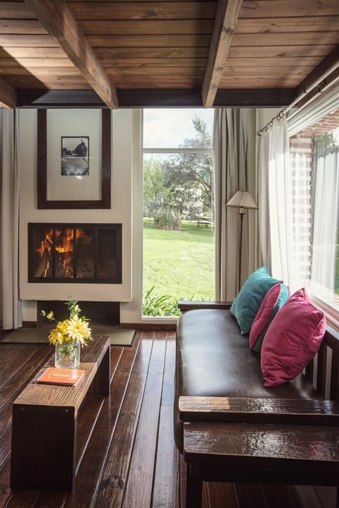 Living room, Photo of the whole room, Garden view