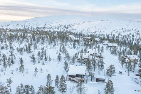 Levillas Kinnastie 23 Villas Villa in Lapland