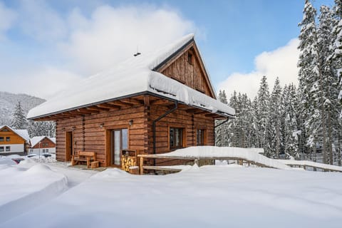 Property building, Natural landscape, Winter, Mountain view