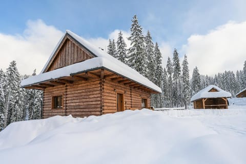 Property building, Natural landscape, Winter