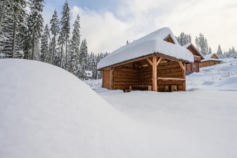 Natural landscape, Winter