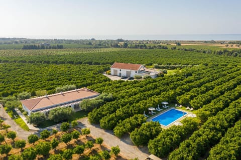 Property building, Bird's eye view