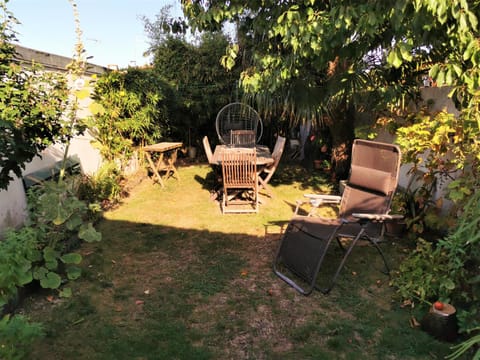 Patio, Garden, Garden view