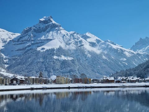 Apartment Erlenrain Wohnung 911 by Interhome Apartment in Nidwalden