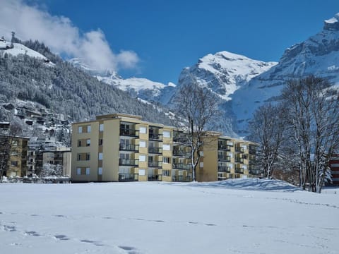 Apartment Erlenrain Wohnung 911 by Interhome Apartment in Nidwalden