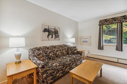 Cedarbrook Deluxe 1 bedroom suite with outdoor heated pool 11820 Hotel in Killington