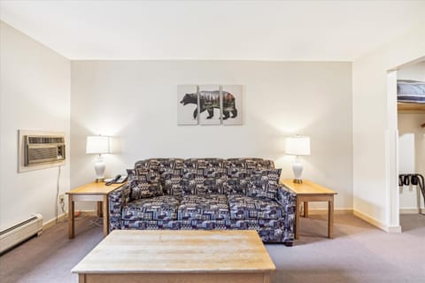 Cedarbrook Deluxe one bedroom suite with outdoor heated pool 11921 Hotel in Killington