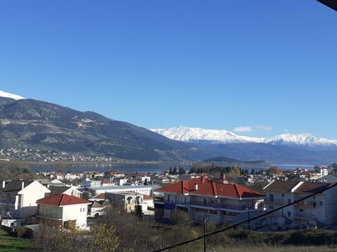 The view attic Apartment in Ioannina