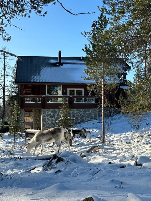Villa Utsuntuisku House in Lapland