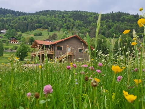 Gîte 4 étoiles à La Bresse, grand confort, proche station ski - FR-1-589-394 House in La Bresse