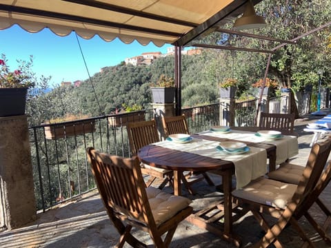 Patio, Balcony/Terrace