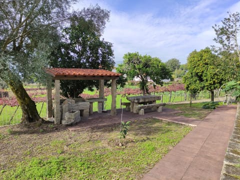 BBQ facilities, Garden