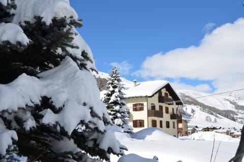 Property building, Winter