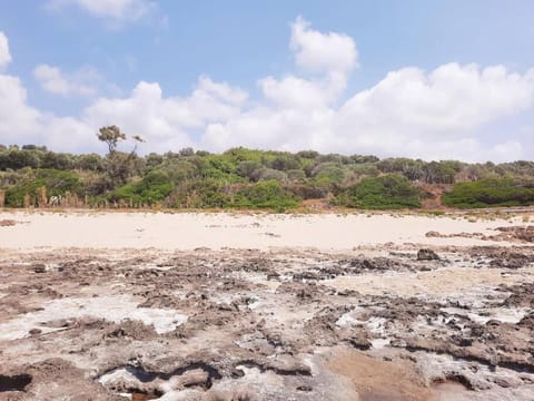 Natural landscape, Beach