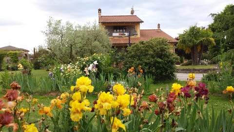 Villa Iriscortona Villa in Umbria