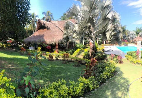 Garden, Garden view, Pool view