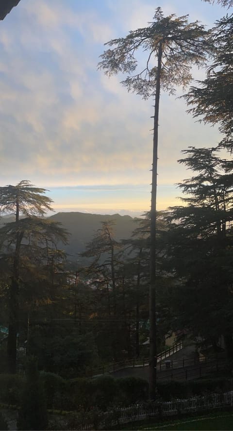 The Edgeworth Chambre d’hôte in Shimla