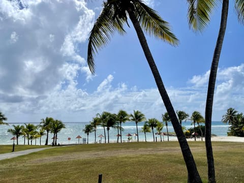 Garden, Sea view