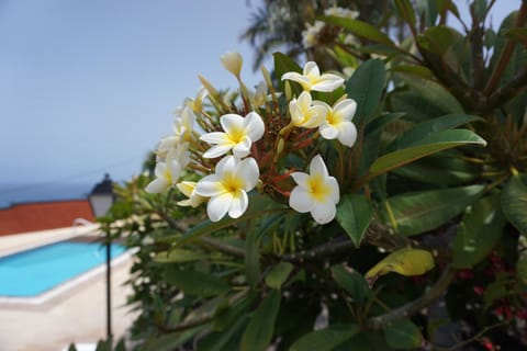 Finca La Romera Apartment in Orotava Valley