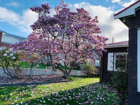 Rose Homey Home House in Glenorchy