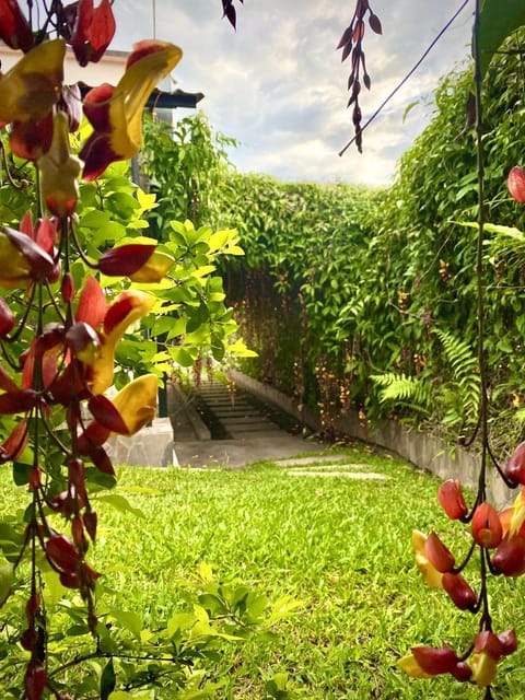 Garden, Garden view