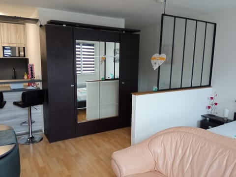 Charmant studio classé 3 étoiles au coeur de Niederbronn-les-Bains Apartment in Baden-Württemberg