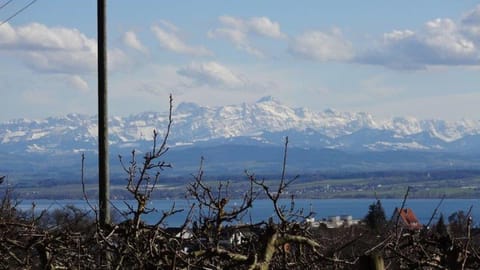 Ferienscheune Condo in Meersburg