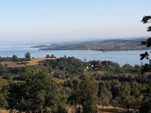 Natural landscape, Lake view