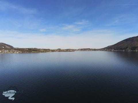 Seechalet Traunsee Villa in Altmünster