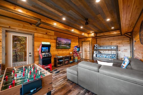 Game Room, TV and multimedia, Living room, Mountain view, bunk bed