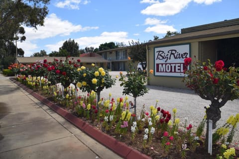 Big River Motel Motel in Echuca