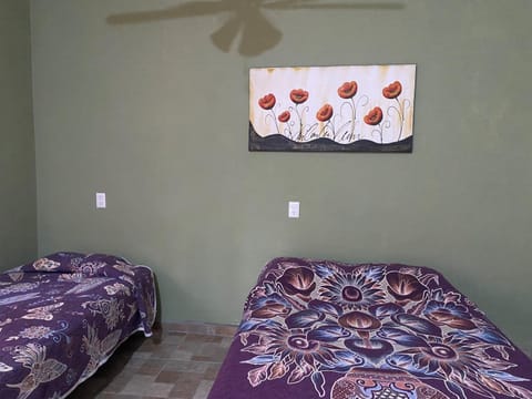 Iguana Loca 2 Apartment in State of Colima