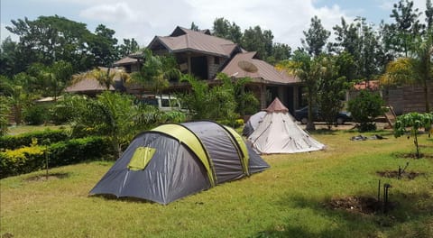 Property building, Natural landscape, Garden