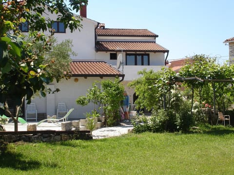 Patio, Garden, Garden view