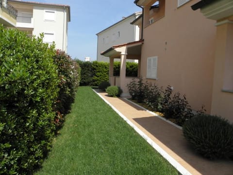 Patio, Garden, Garden view