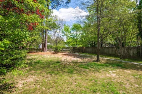 Day, Natural landscape, Garden view